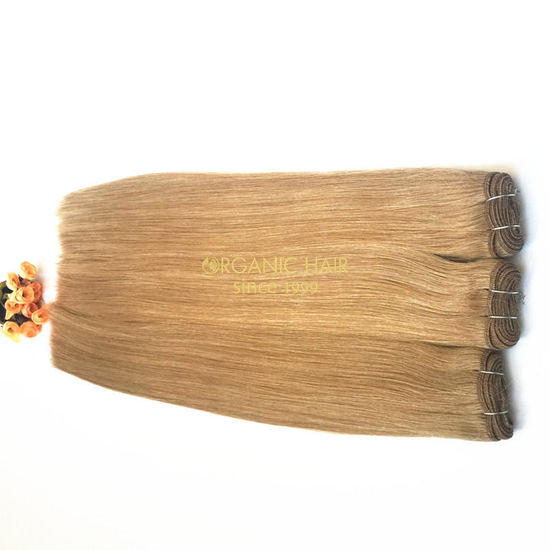 Wholesale best human hair weave